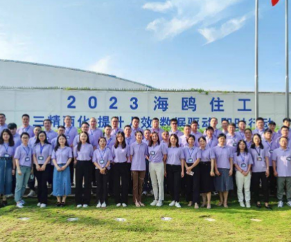 從戰(zhàn)略到執(zhí)行，四維衛(wèi)浴手把手教你如何破局