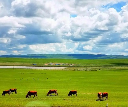 艱苦卓絕，奮楫篤行! 2025唐姆渠道事業(yè)部年中營(yíng)銷峰會(huì)圓滿舉行