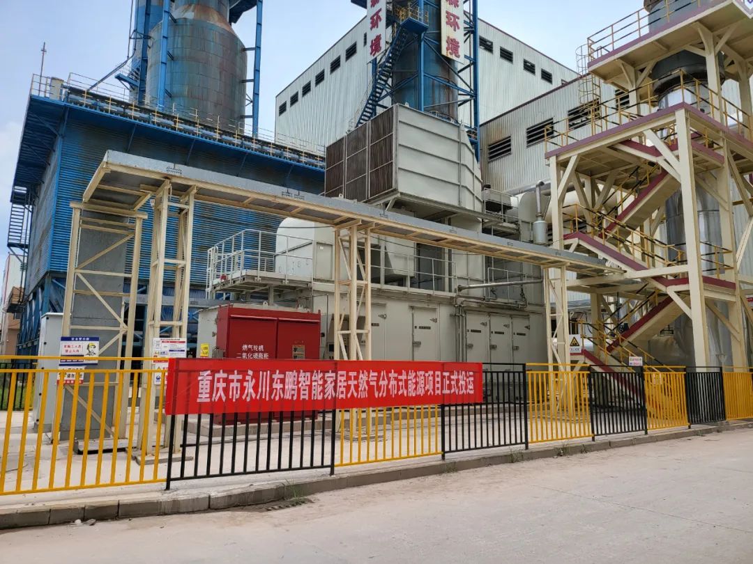 1690868872944229.jpg 2.jpg