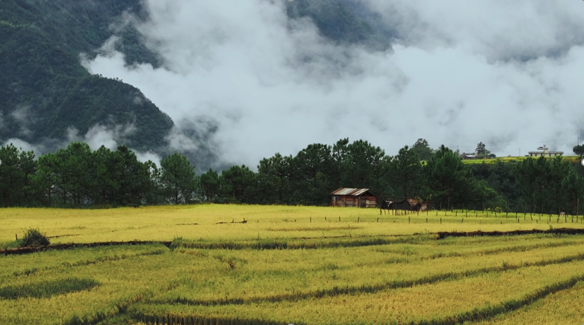 1697597607779437.png image.png