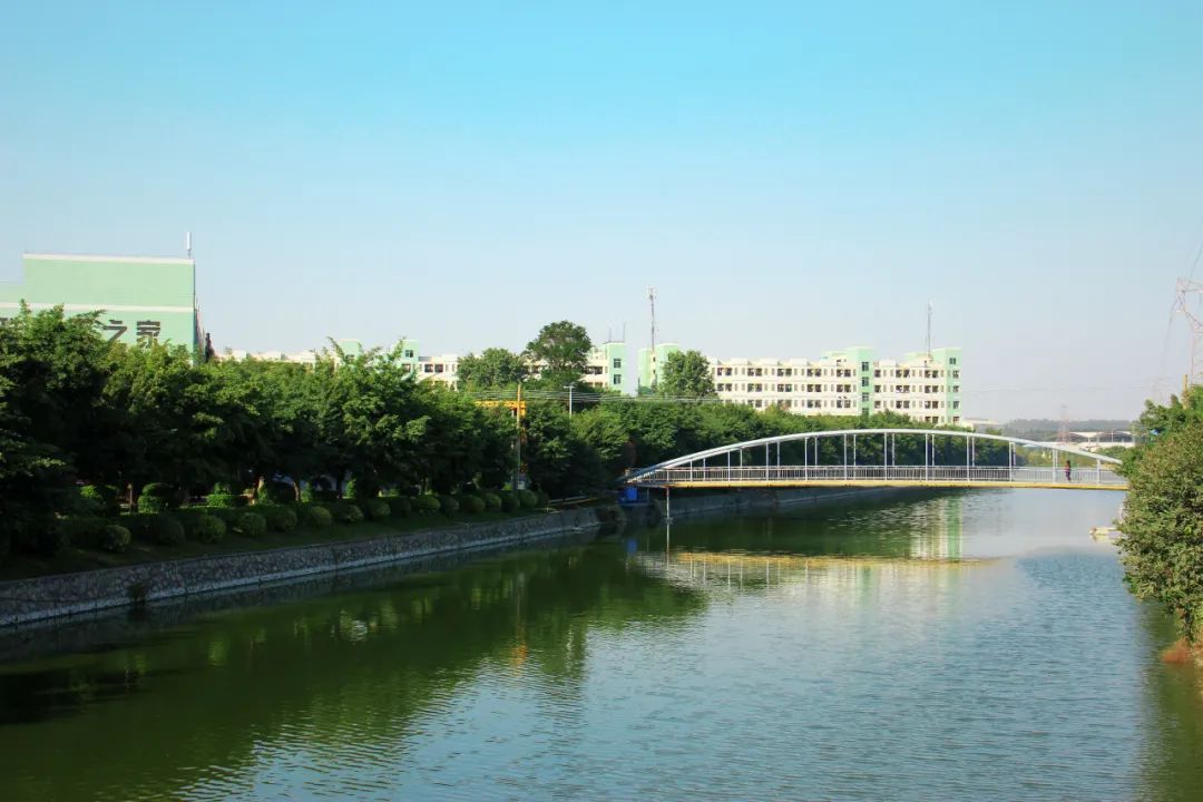 1699426056817381.jpg 3.jpg