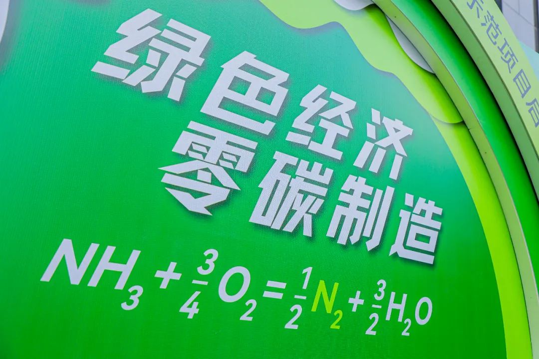 1703812153876446.jpg 1.jpg