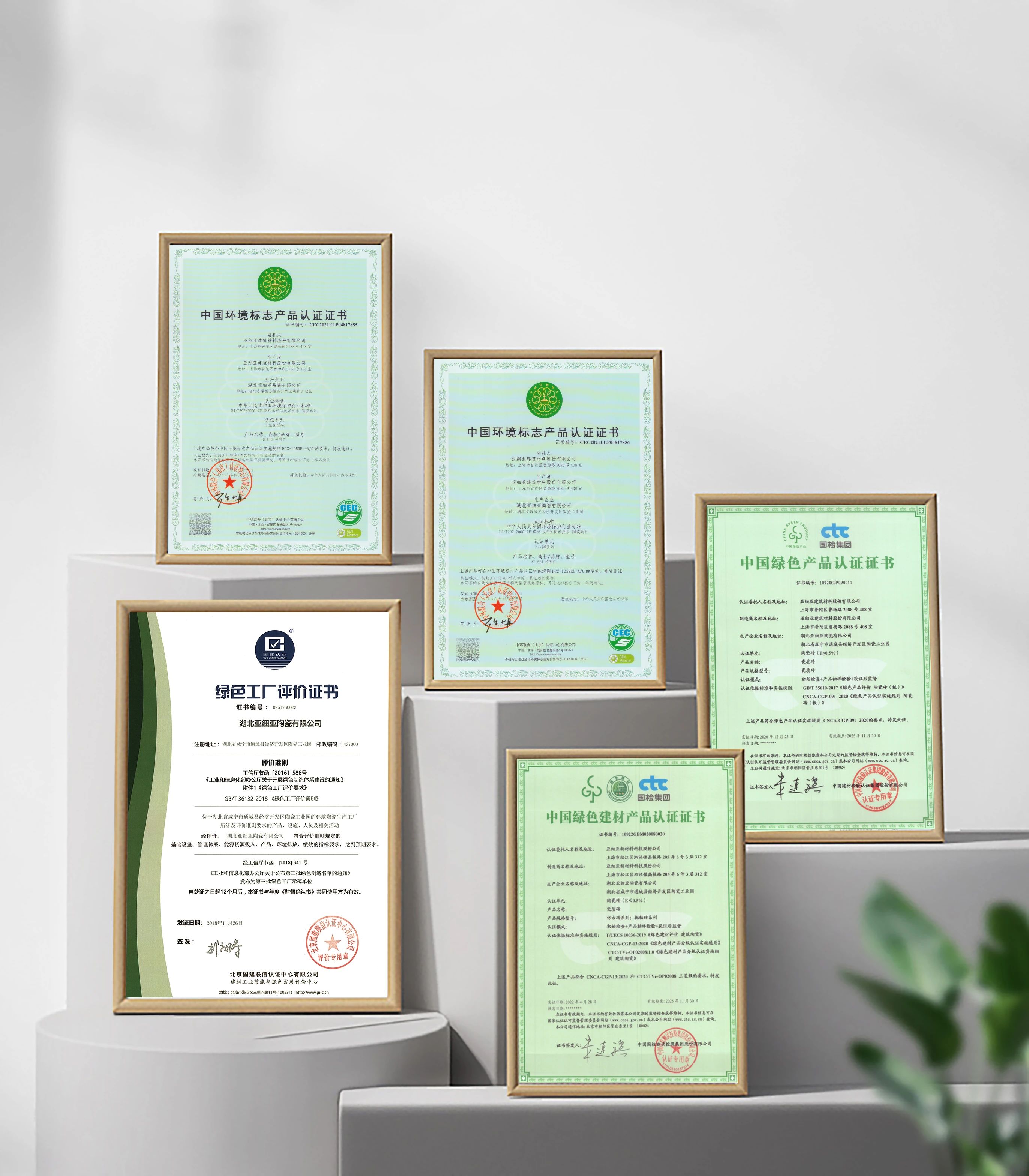 1727330038645865.jpg 11.jpg